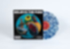 Fussy vinyl -07.jpg